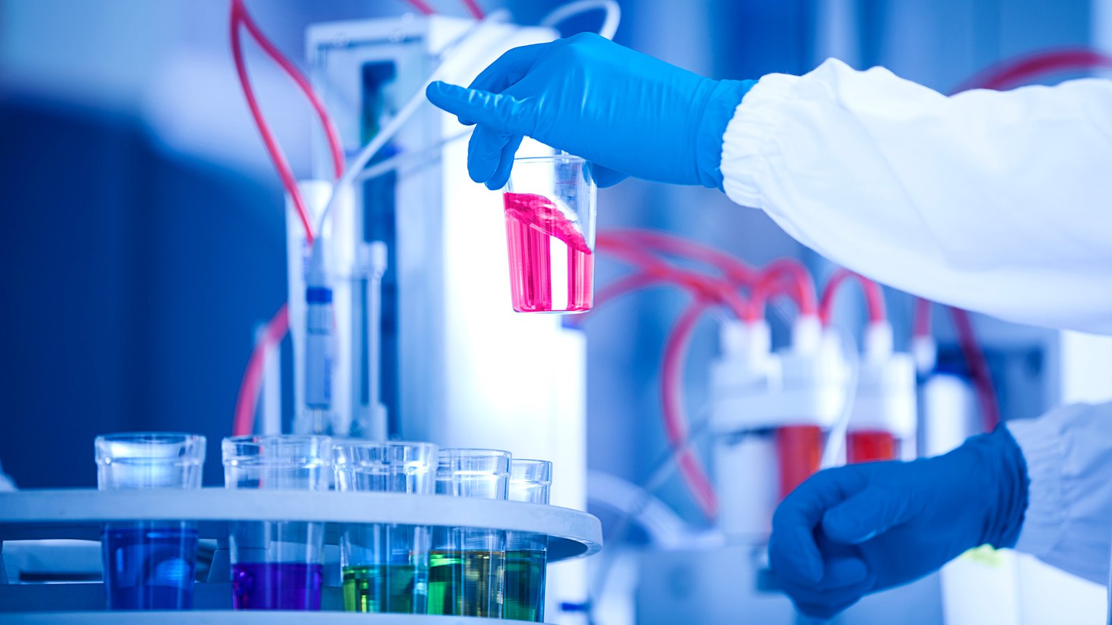 SGS laboratory technician holding a test sample during analytical chemistry and quality control testing process