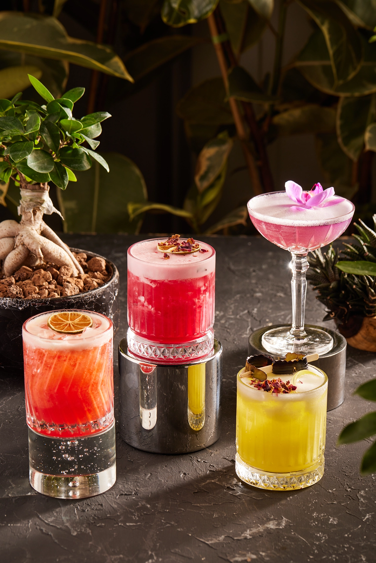 Colorful signature cocktails served in an elegant bar setting with fresh ingredients and premium presentation.